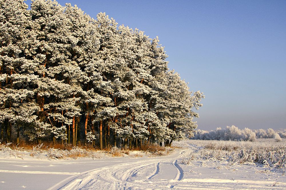 Photograph by Игорь Зиновьев