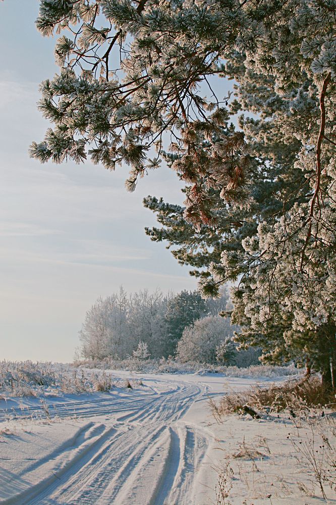 Photograph by Игорь Зиновьев