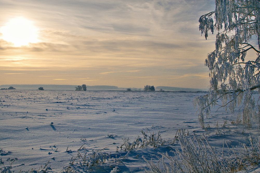 Photograph by Игорь Зиновьев