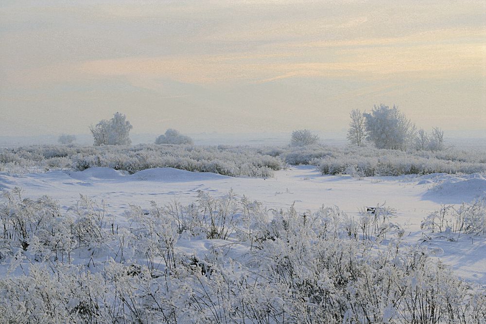 Photograph by Игорь Зиновьев