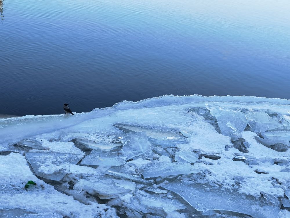 Photograph by Виталий Кореньков