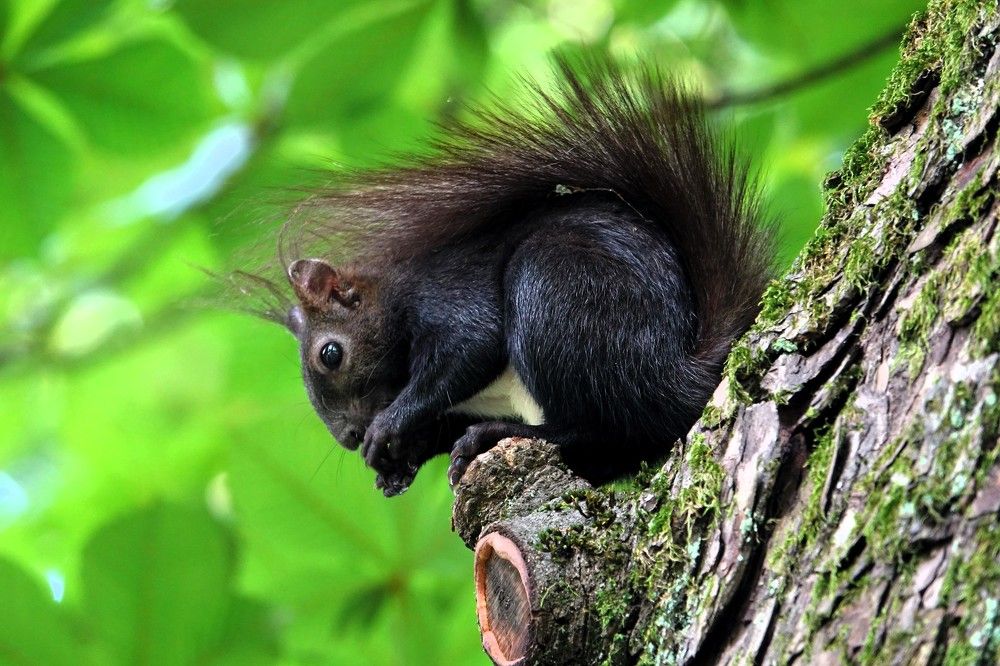 Photograph by jelena konickaja