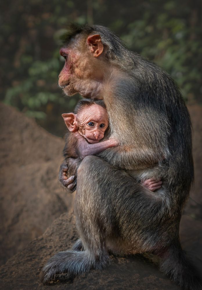 Photograph by Ольга Мусиенко