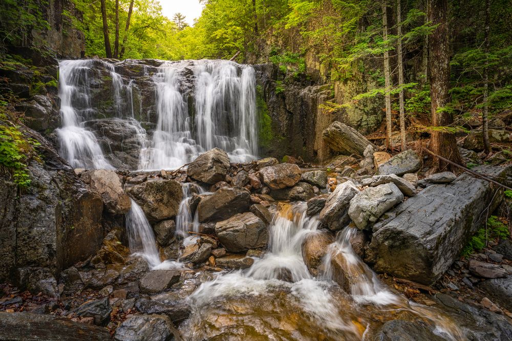 Photograph by Ольга Мусиенко