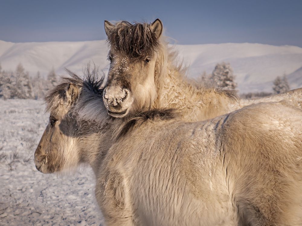 Photograph by Ольга Мусиенко