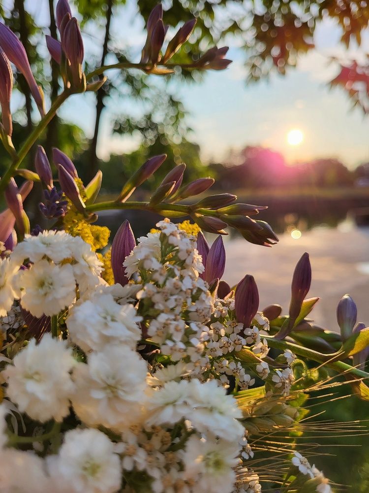 Фотография автора Татьяна Прашкевич