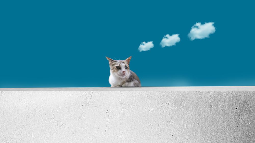 What did you think, dude?