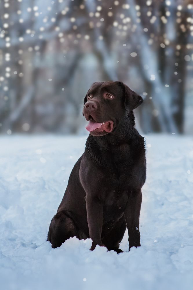 Konta Venessen Folder Hurricane of Love