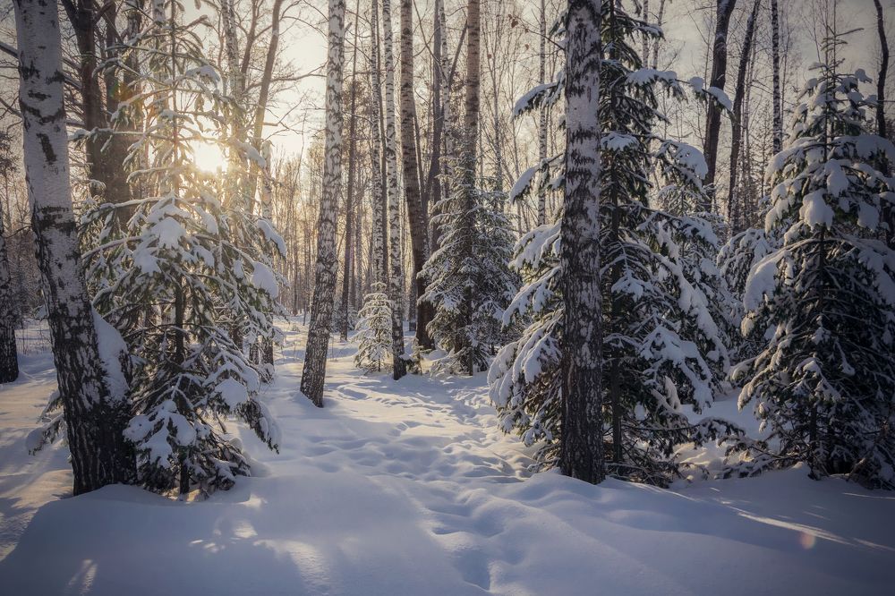 Photograph by Евгений Малинин