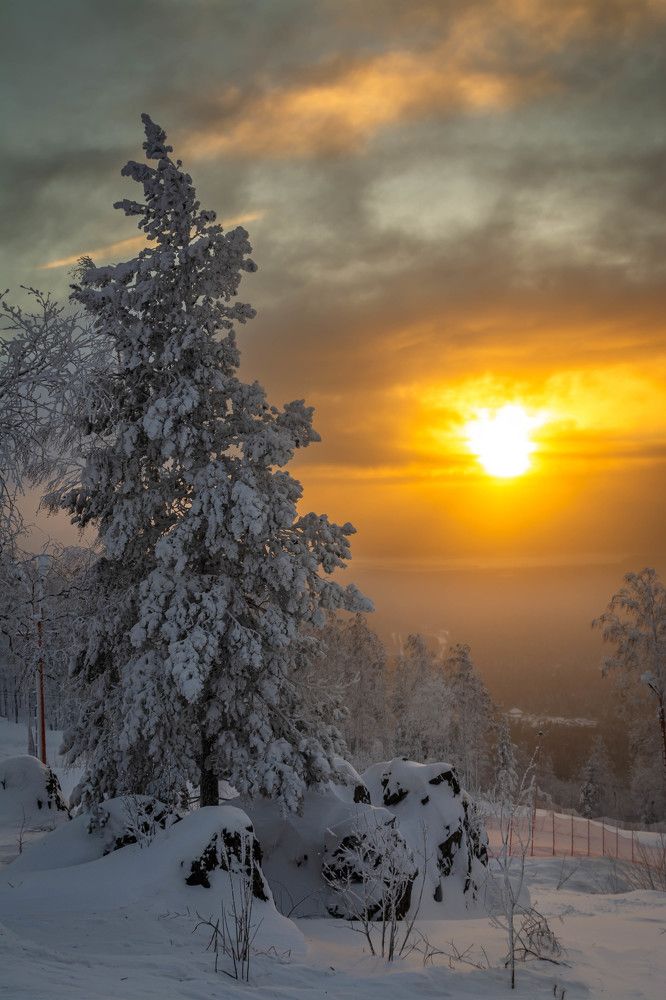 Photograph by Олег Бережных