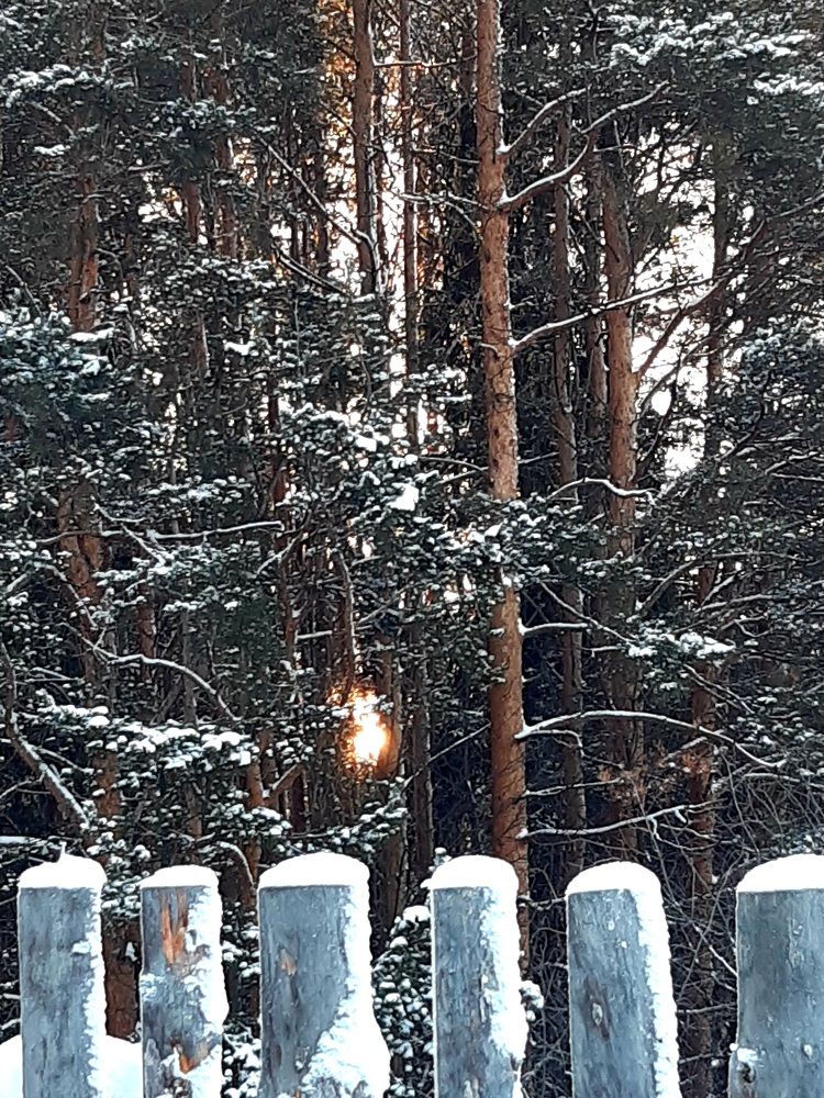 МОБИЛЬНОЕ ФОТО.