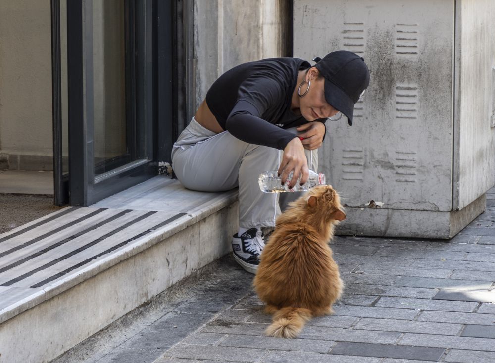 Photograph by Галина Михоношина