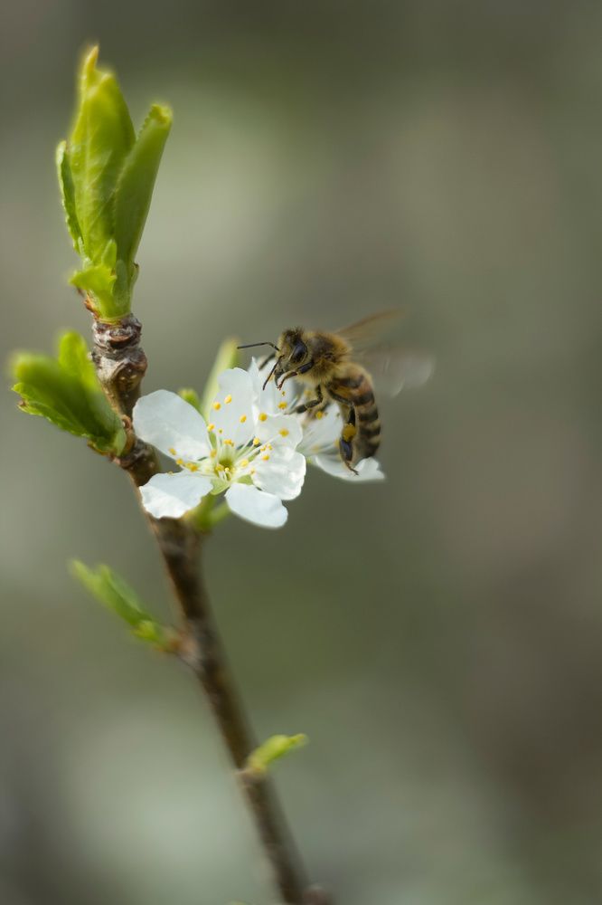 Photograph by Екатерина Мезенова