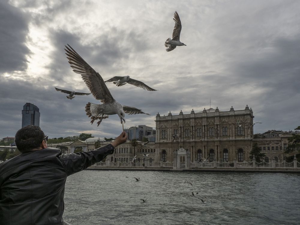 Photograph by Галина Михоношина