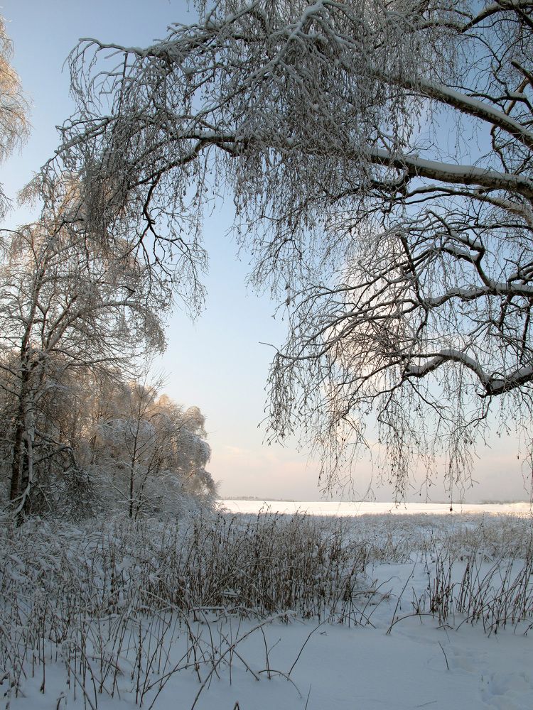 Photo #10116673