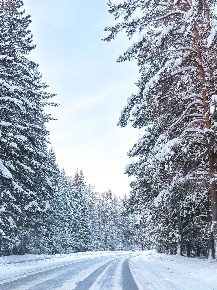 Photograph by Irina Kolotova