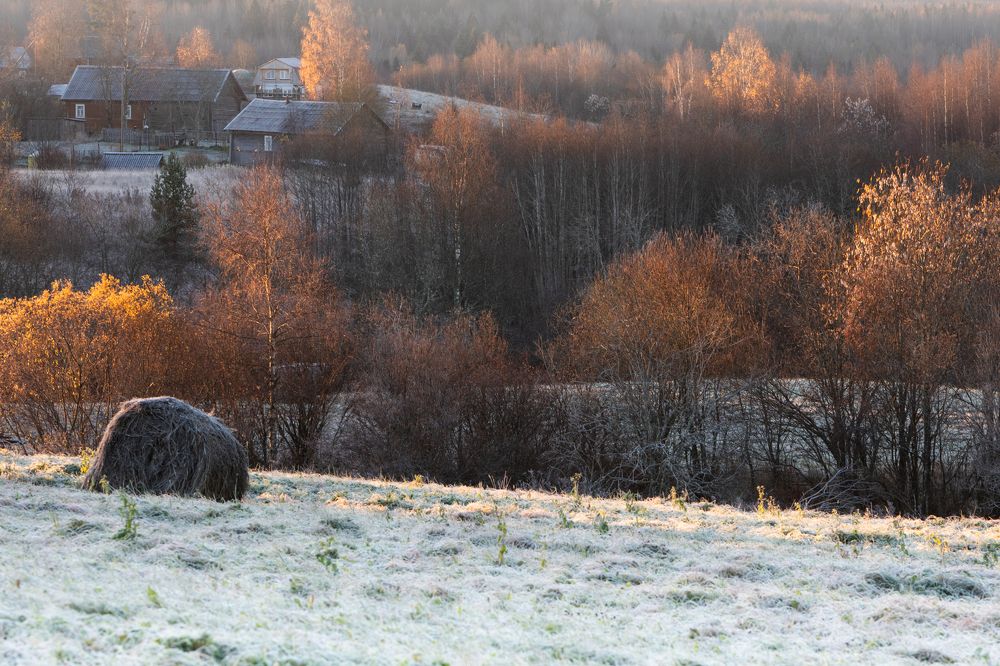 Photograph by Марина Маликова