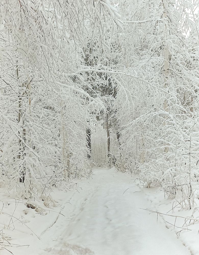 Photograph by Елена Кузнецова