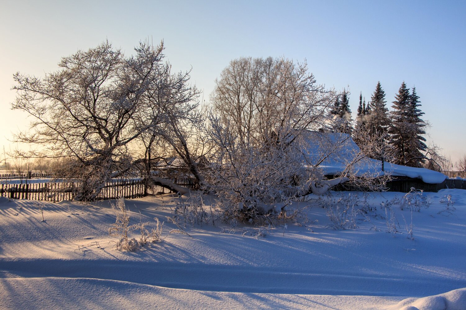 Photo #10116751