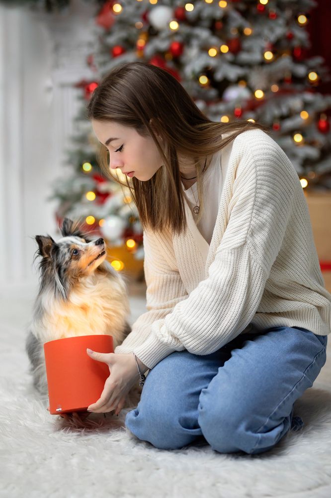 Photograph by Варвара Вострикова