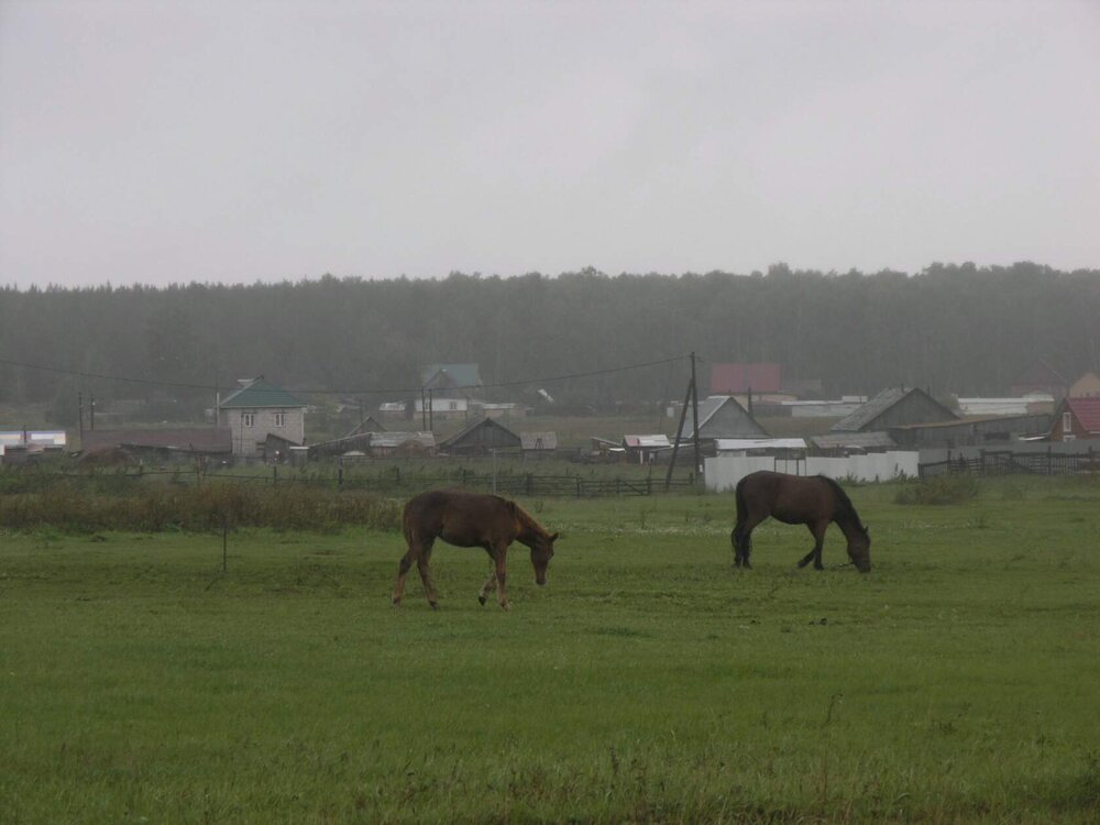 Photograph by Света Семёнова