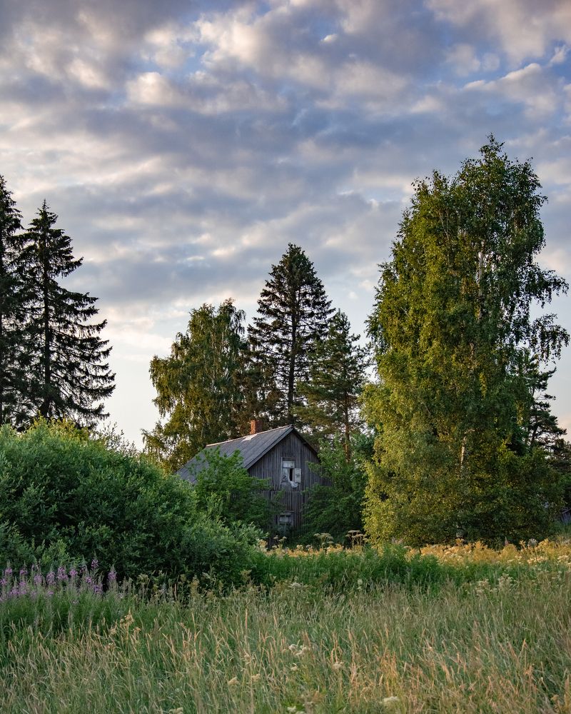 Photograph by Ирина Заворуева