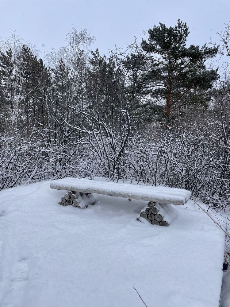 Photograph by Асель Бекбосынова