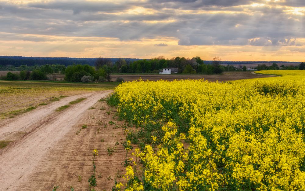 Photograph by Сергей Дишук