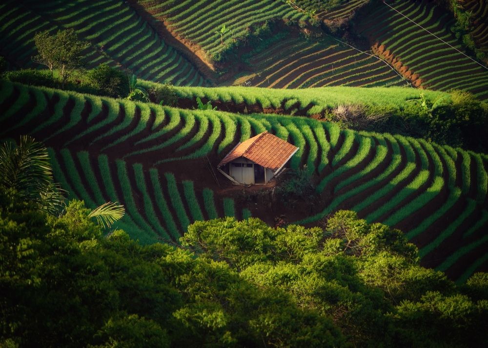 Photograph by Henri Fitriadi