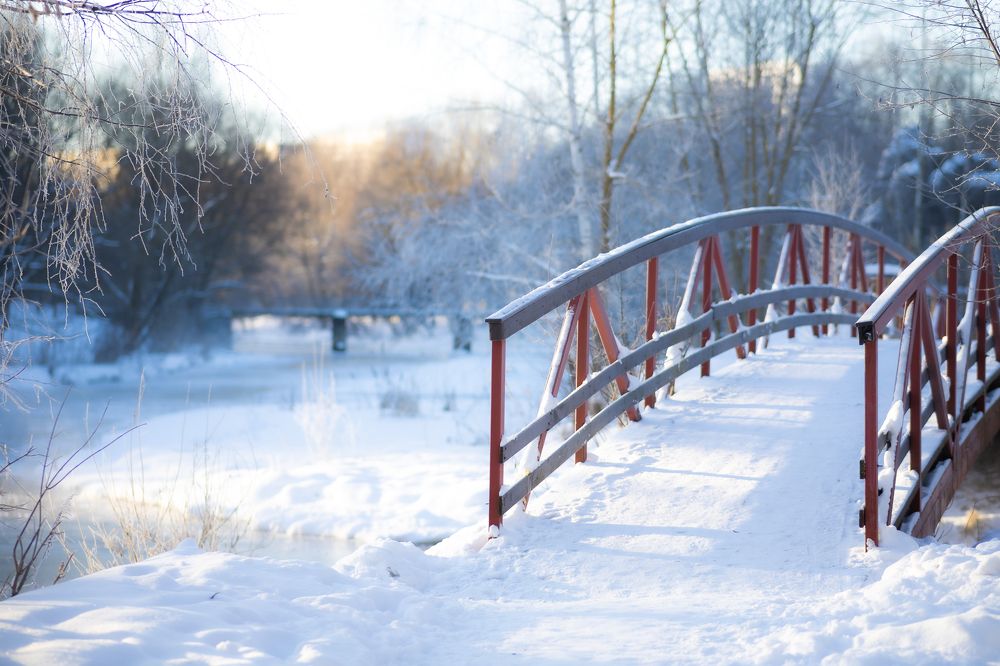 Фотография автора Барсуков Владимир