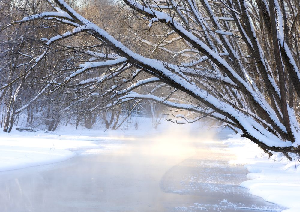 Фотография автора Барсуков Владимир