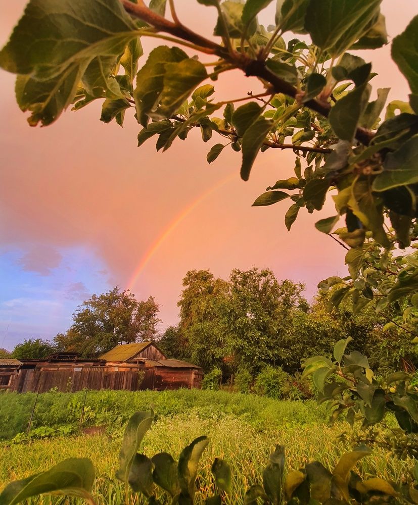После дождя