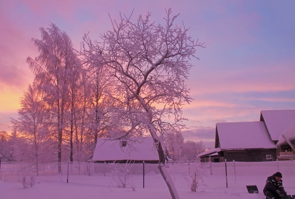 Photograph by Алла Бойко