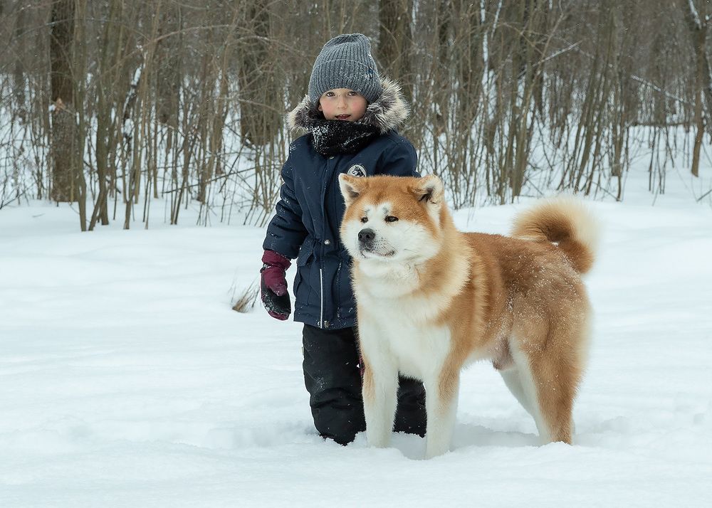 Photograph by Галина Полищук