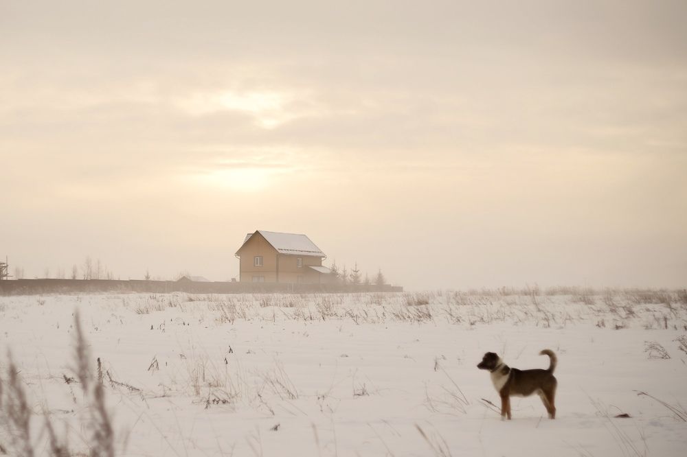 Photograph by Екатерина Фокина