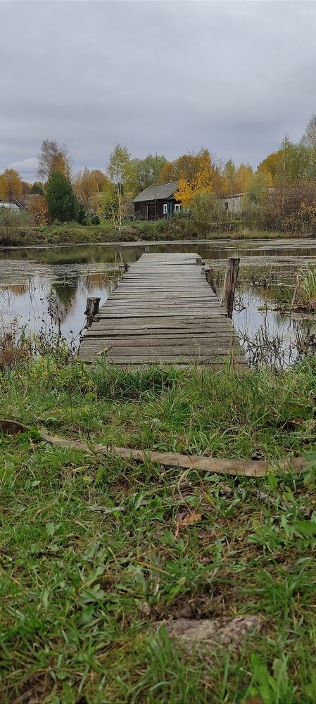 Фотография автора Васильева Ирина