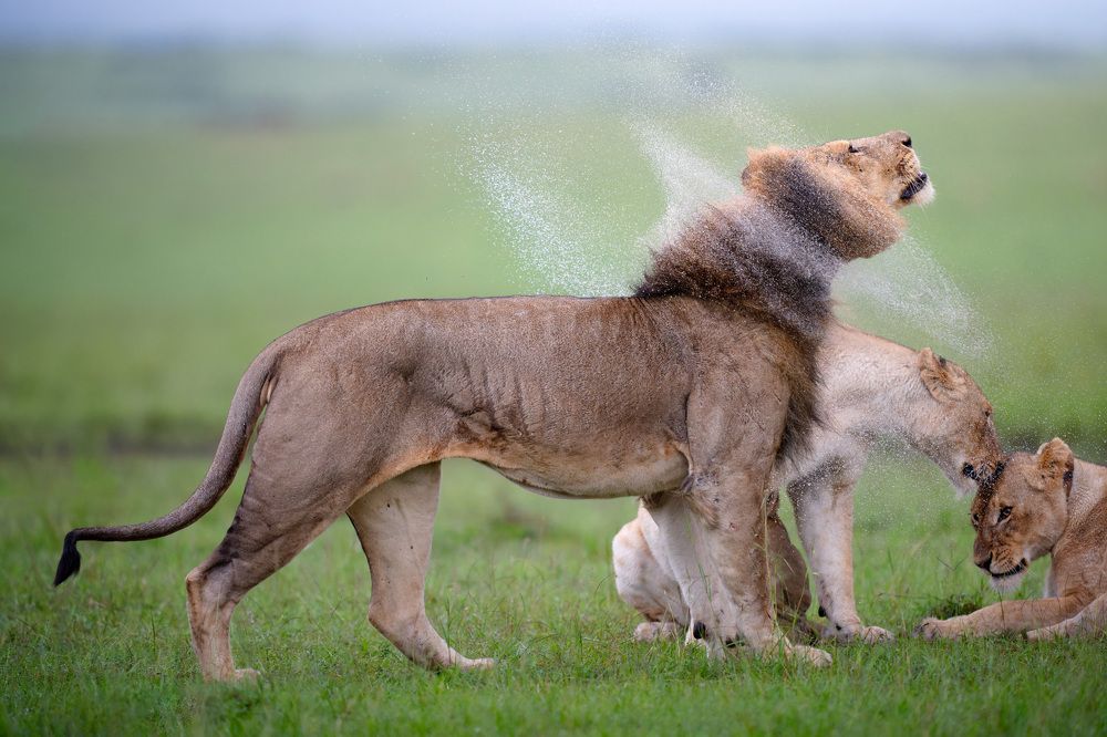 Фотография автора Karthik Subramaniam