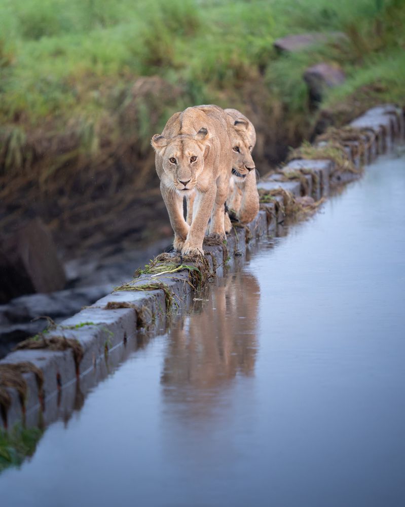 Фотография автора Karthik Subramaniam