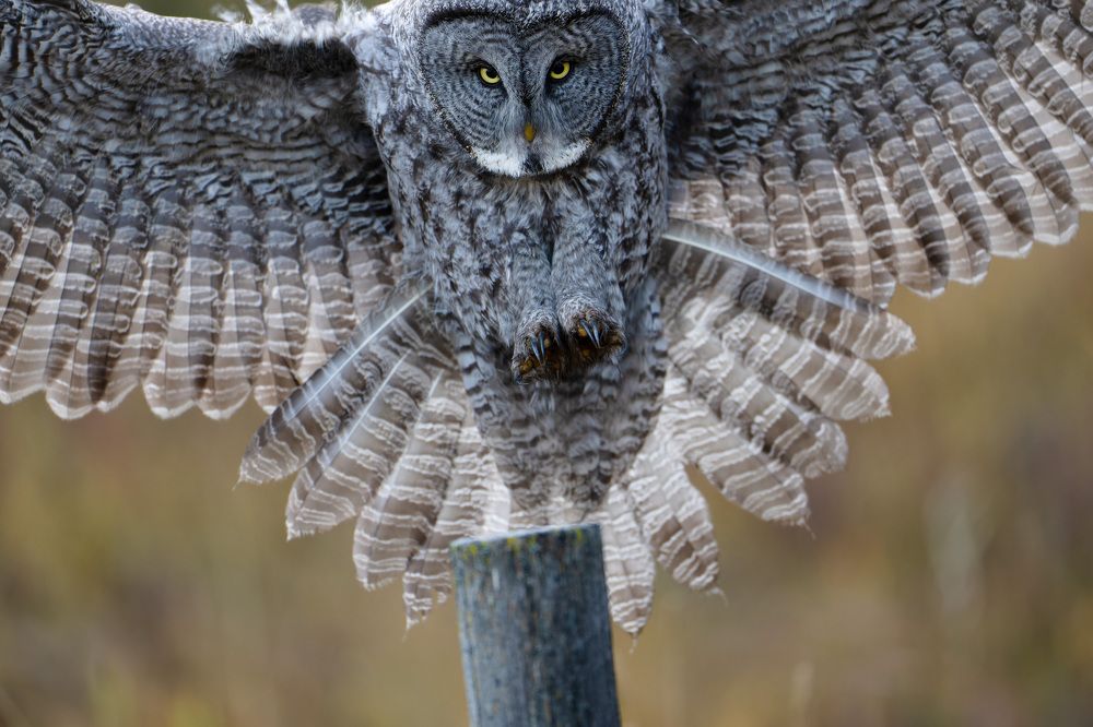 Фотография автора Karthik Subramaniam