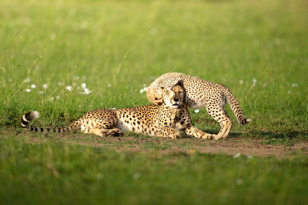 Фотография автора Karthik Subramaniam