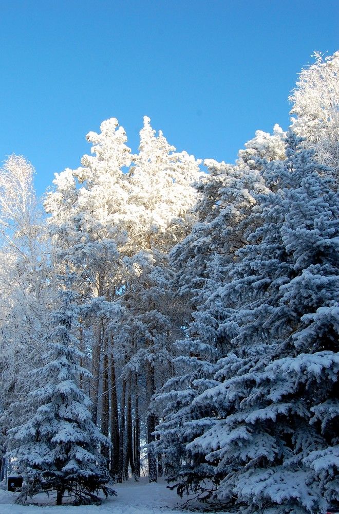 Photograph by Галина Походенко