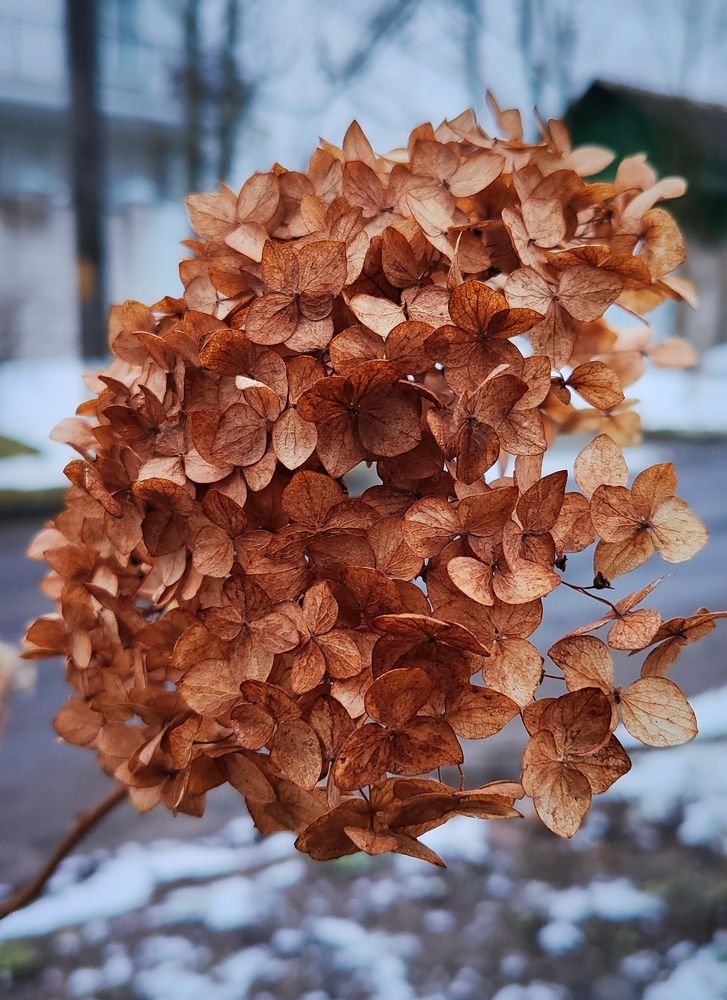 Фотография автора Алёна Подгорная