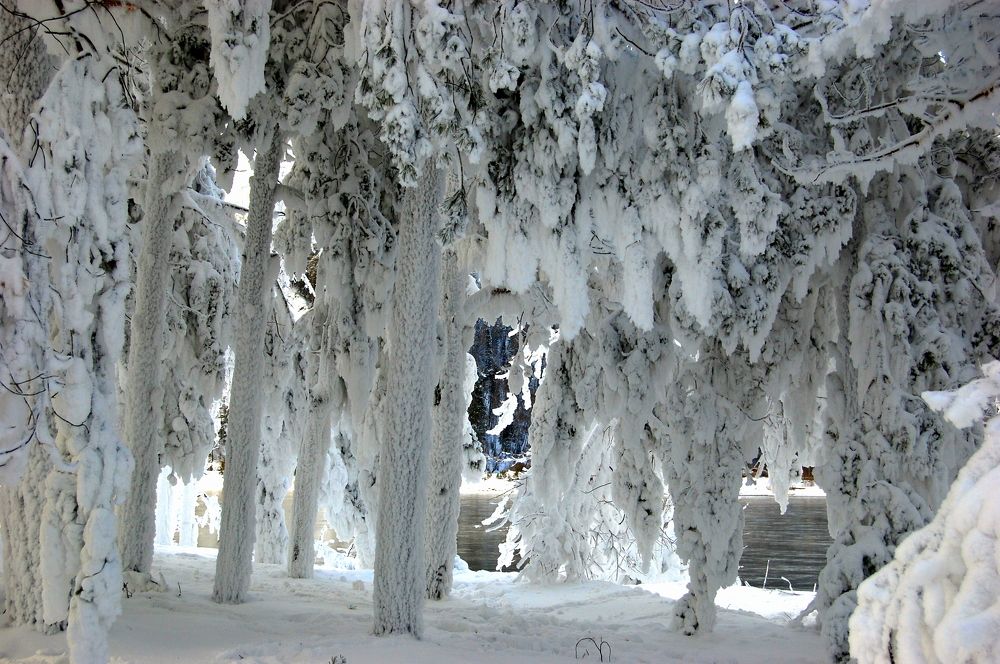 Photograph by Галина Походенко