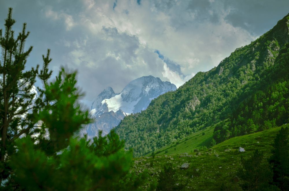 Photograph by Lluna