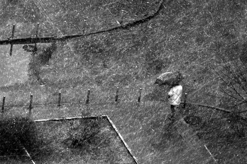 Photograph by Денис Труфанов