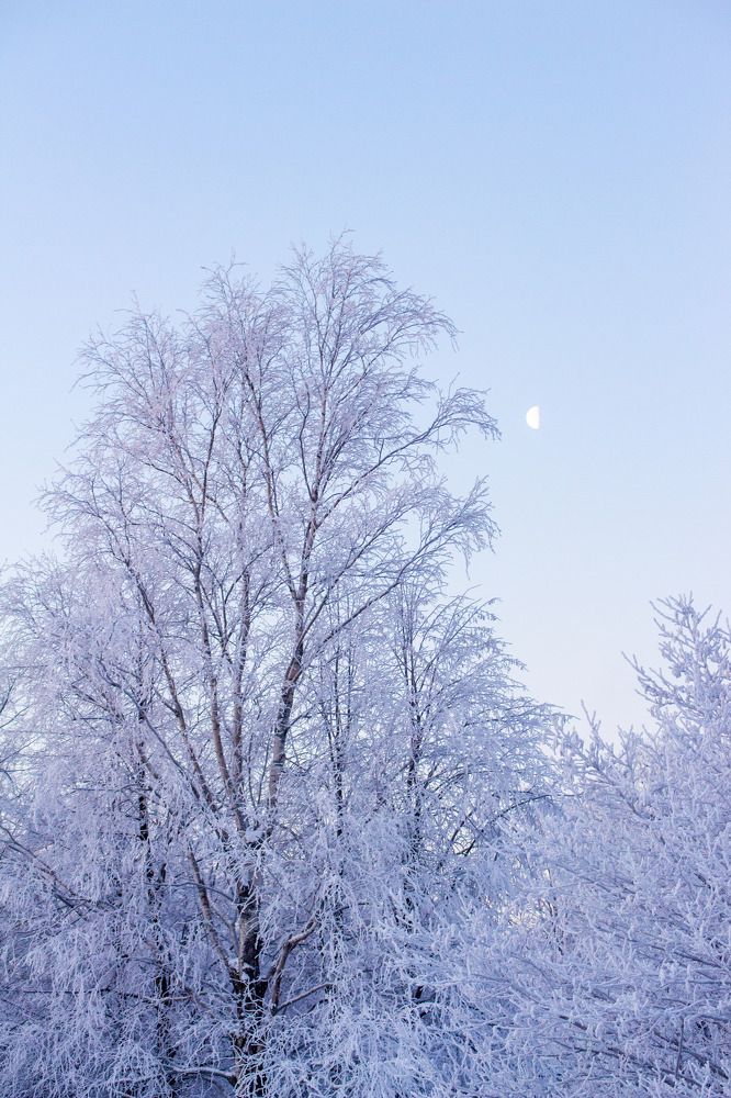 Photograph by Бамблевская Любовь Игоревна