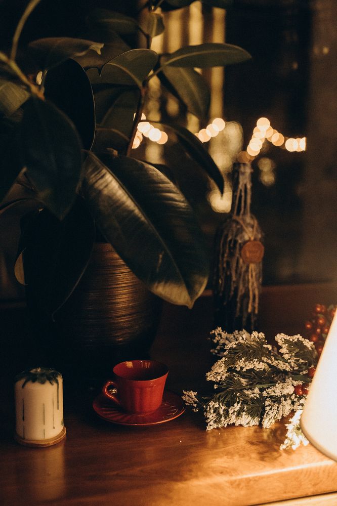 Photograph by Елизавета Яковенко