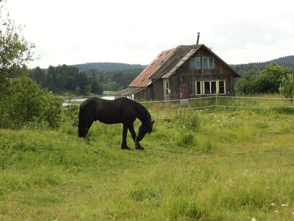 Photograph by Анна Азарёнок