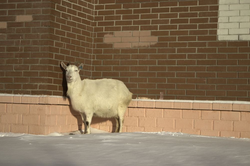 Photograph by Николай