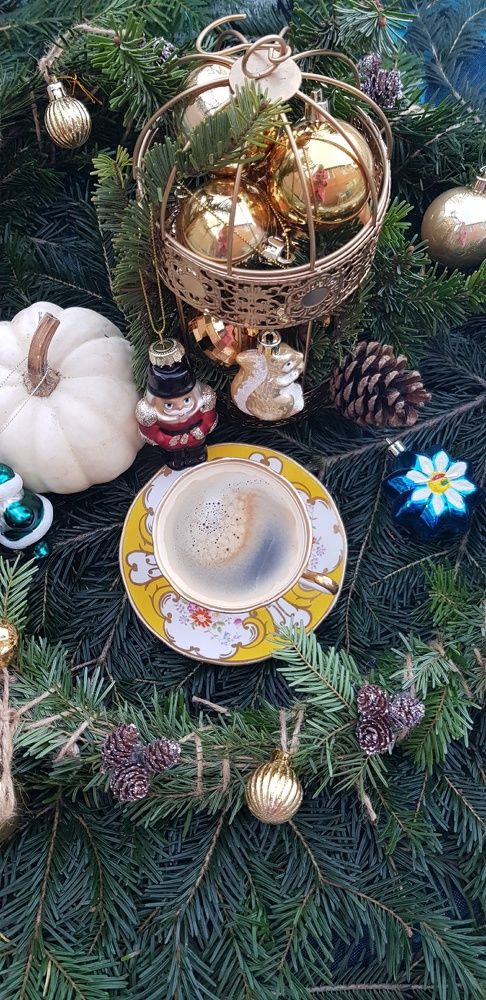 Фотография автора Ольга Мусина